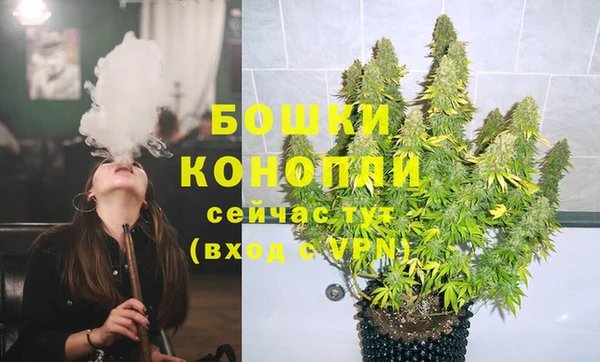 спиды Белокуриха