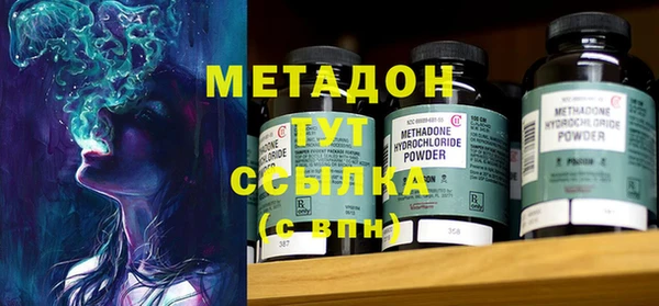 прущие грибы Балахна
