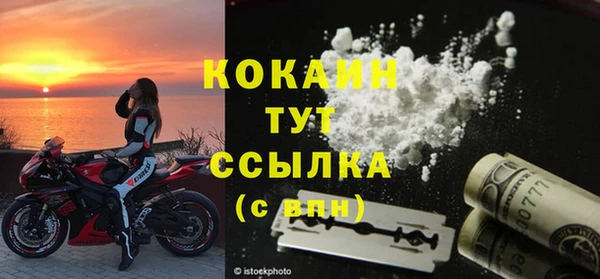 прущие грибы Балахна